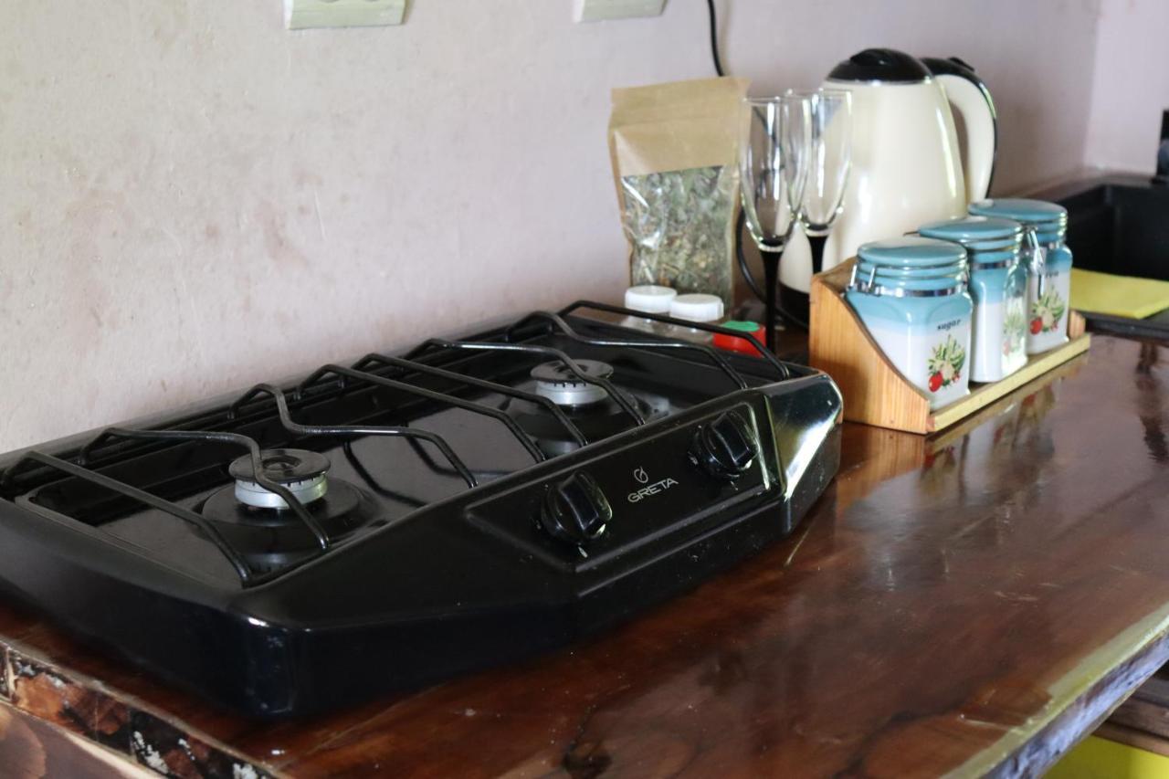 Ecoxata Apartment Slavske Ngoại thất bức ảnh